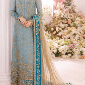Sky Blue Heavy Embroidered Party wear Suit